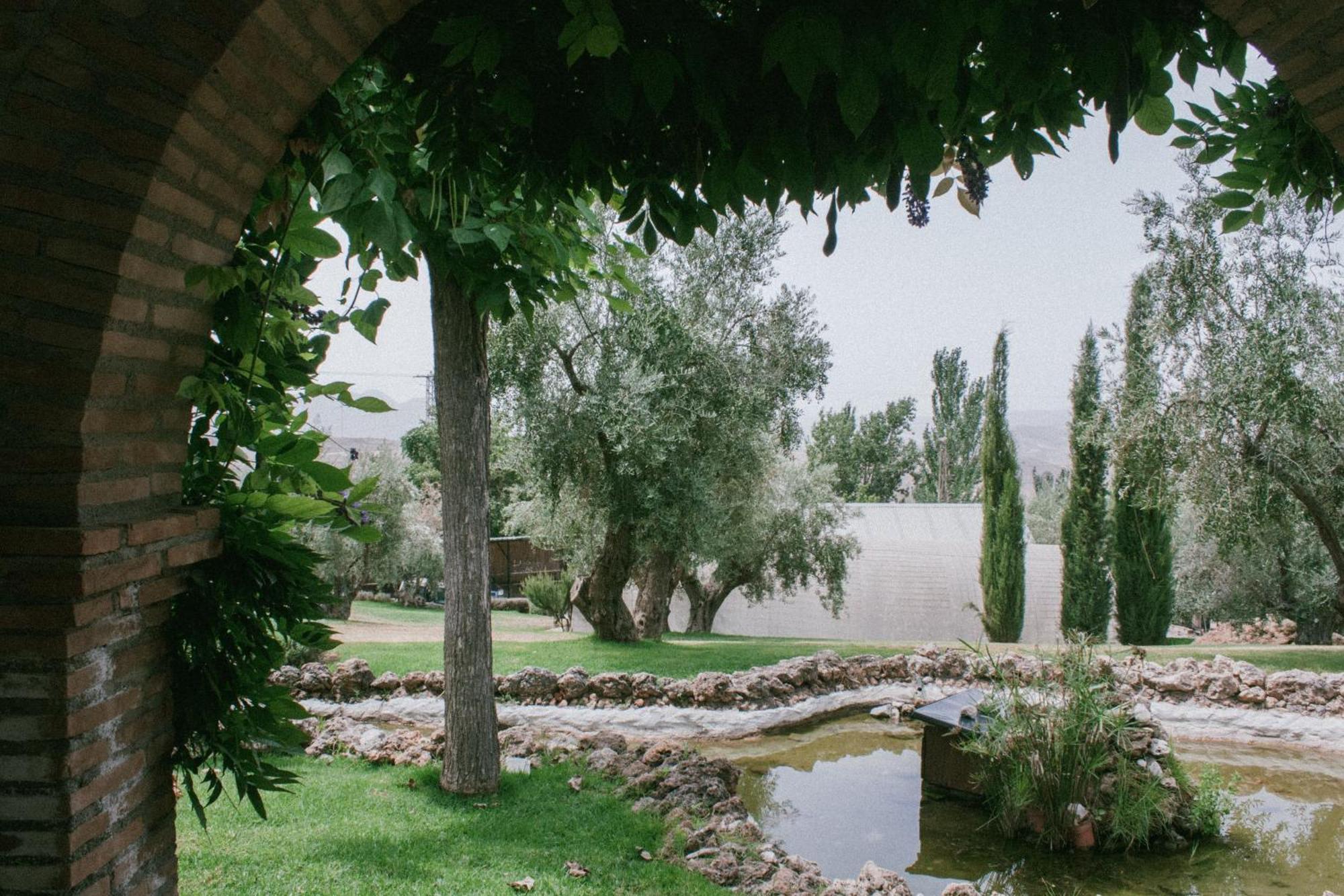 Hotel Rural Alqueria De Los Lentos Nigüelas Pokoj fotografie